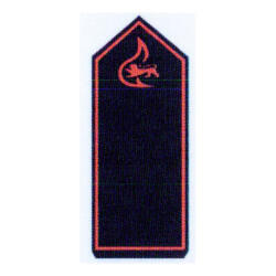 Dienstgrad- und Funktionsabzeichen, Uniformknöpfe