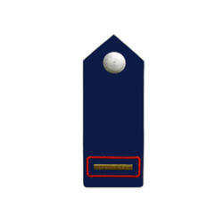 Schulterklappen, auf blauem Köper, Knopf silbern/gold