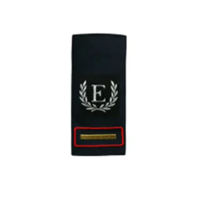 Mehrpreis für Ausführung als Ehrenabzeichen