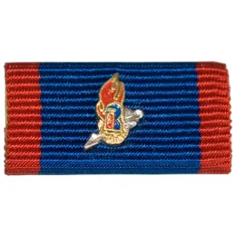 Ehrennadel der Deutschen Jugendfeuerwehr